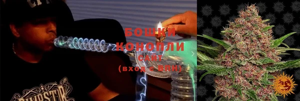 гидра Горнозаводск