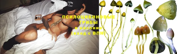 герыч Горняк