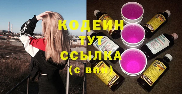 соль ск Горно-Алтайск
