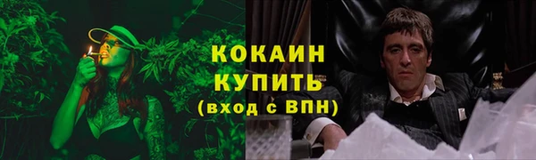 соль ск Горно-Алтайск