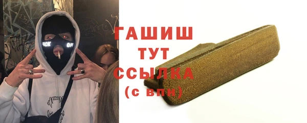 гидра Горнозаводск