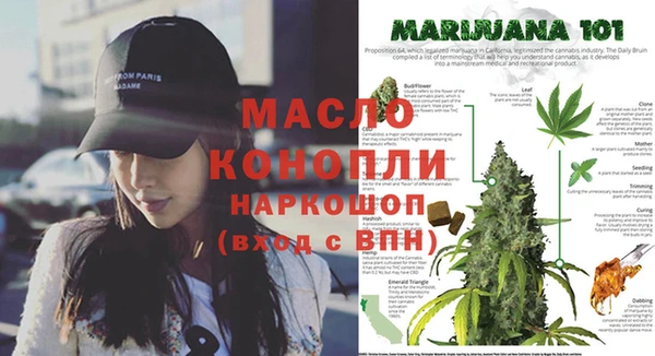 гидра Горнозаводск